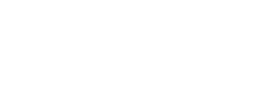 Anexsys logo